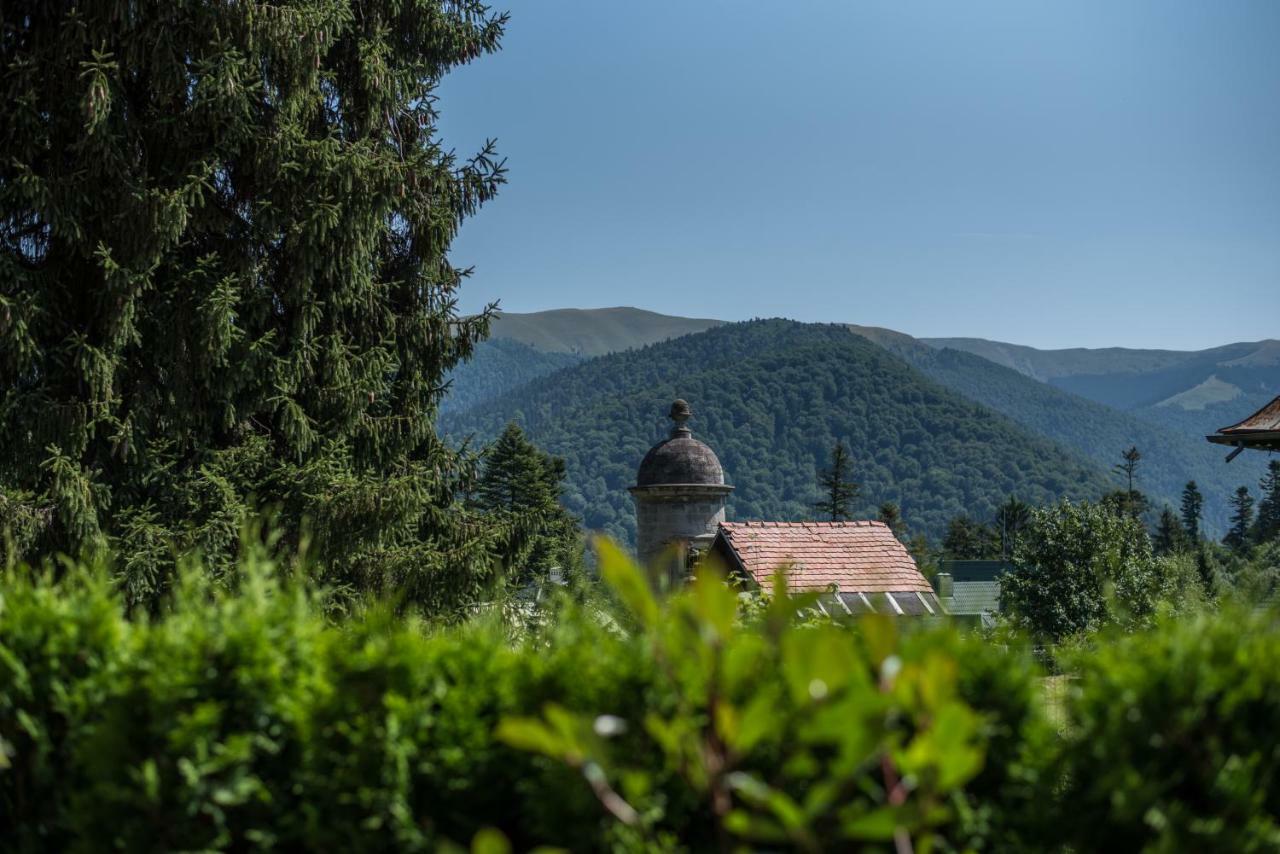 Uphill Residence Sinaia Exteriör bild